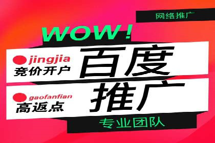 百度SEO推广：从零到一的成长案例